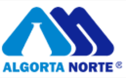 Algorta Norte
